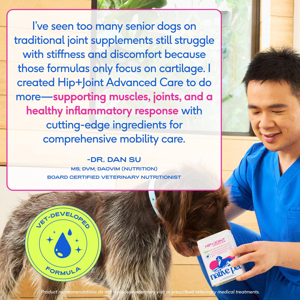 Native Pet Advanced Care Hip & Joint Supplement for Dogs — HMB, UC-II, Green Lipped Mussel, Hyaluronic Acid | 60 Scoops