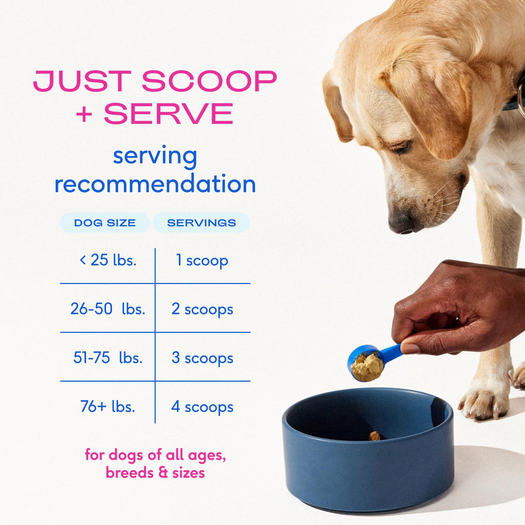 Native Pet Advanced Care Hip & Joint Supplement for Dogs — HMB, UC-II, Green Lipped Mussel, Hyaluronic Acid | 60 Scoops