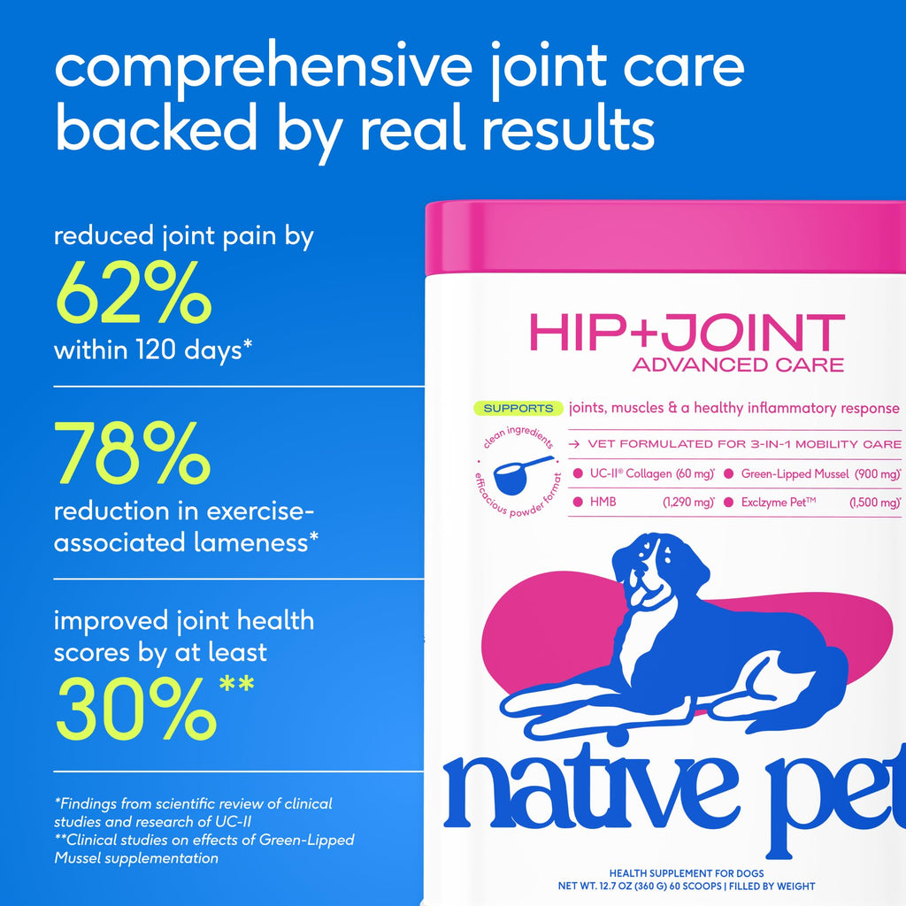 Native Pet Advanced Care Hip & Joint Supplement for Dogs — HMB, UC-II, Green Lipped Mussel, Hyaluronic Acid | 60 Scoops