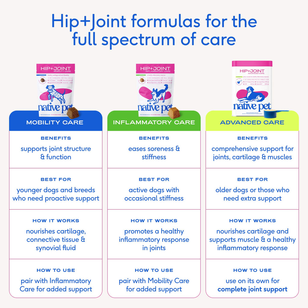 Native Pet Advanced Care Hip & Joint Supplement for Dogs — HMB, UC-II, Green Lipped Mussel, Hyaluronic Acid | 60 Scoops