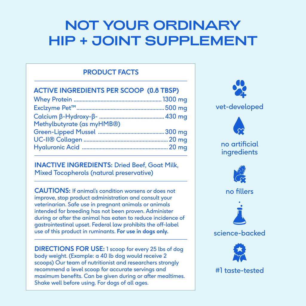 Native Pet Advanced Care Hip & Joint Supplement for Dogs — HMB, UC-II, Green Lipped Mussel, Hyaluronic Acid | 60 Scoops