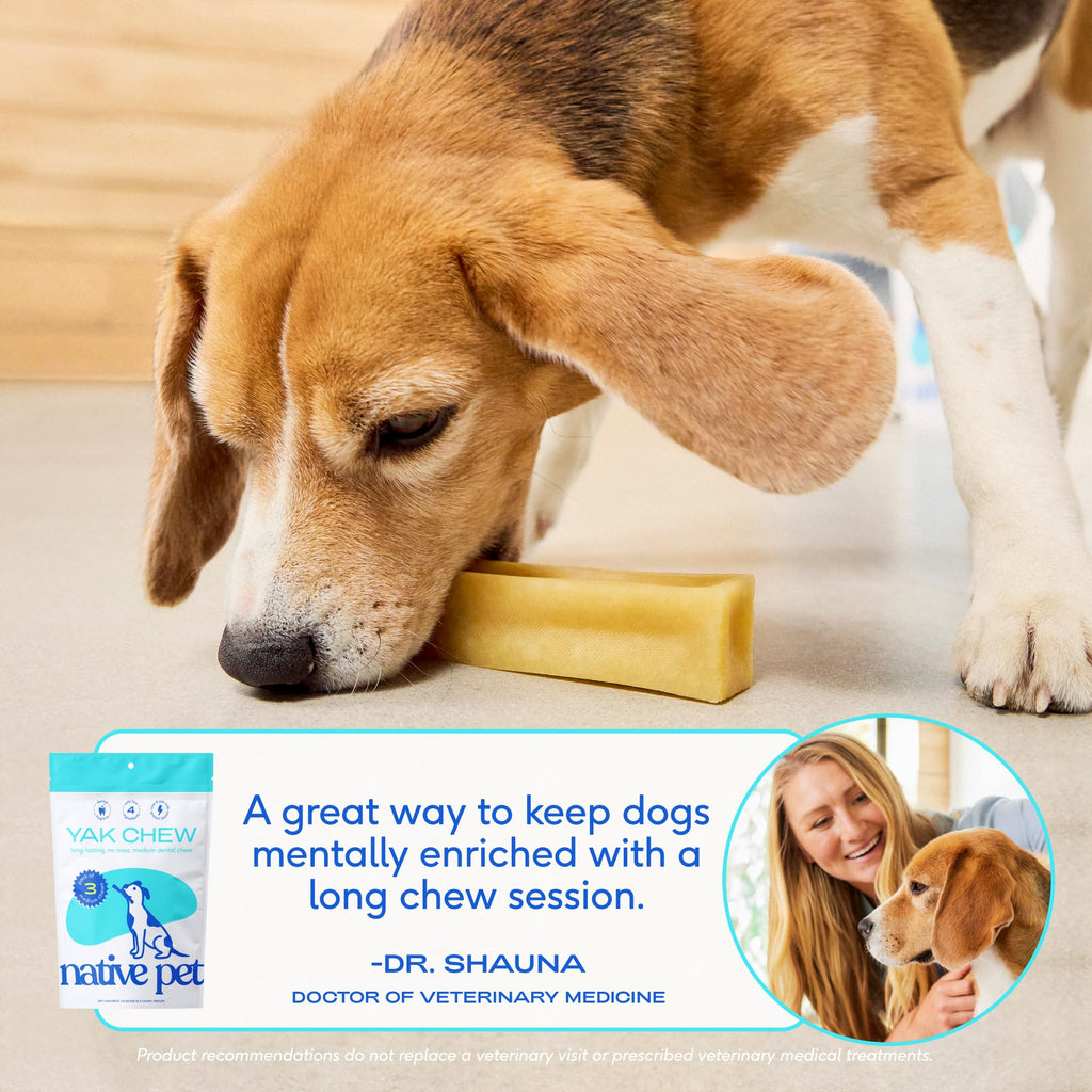 Native Pet Yak Cheese Himalayan Dog Chews – Long Lasting Dental Sticks for Large Breeds (10 Pack)