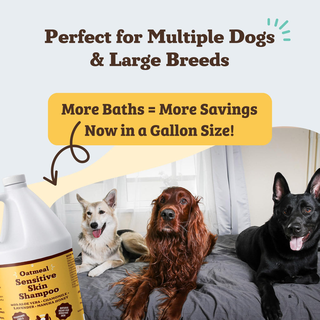 Natural Dog Company Sensitive Skin Shampoo Gallon – 128 oz, Oatmeal, Aloe, Chamomile, Manuka Honey