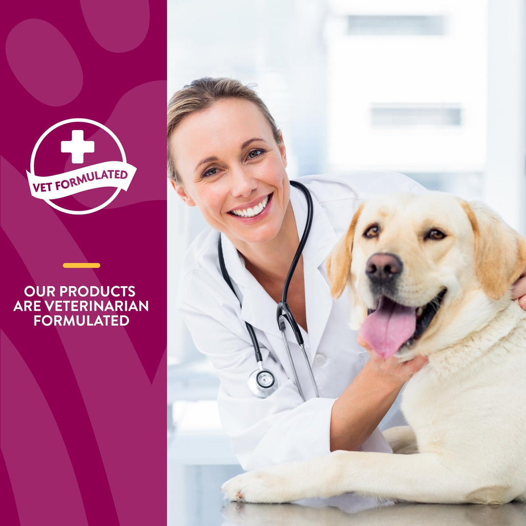 NaturVet ArthriSoothe-Gold Level 3 – Advanced Joint Support for Dogs