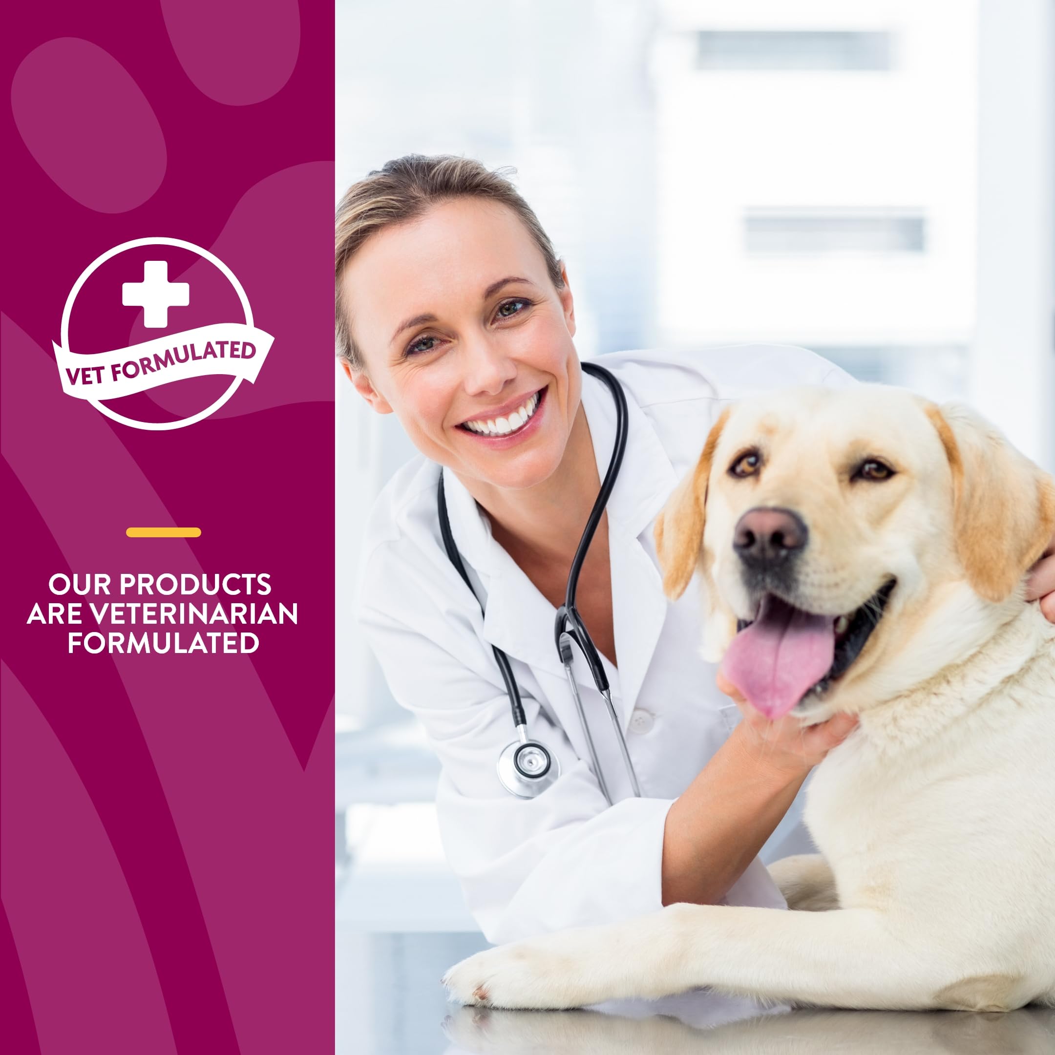 NaturVet ArthriSoothe-Gold Level 3 – Advanced Joint Support for Dogs
