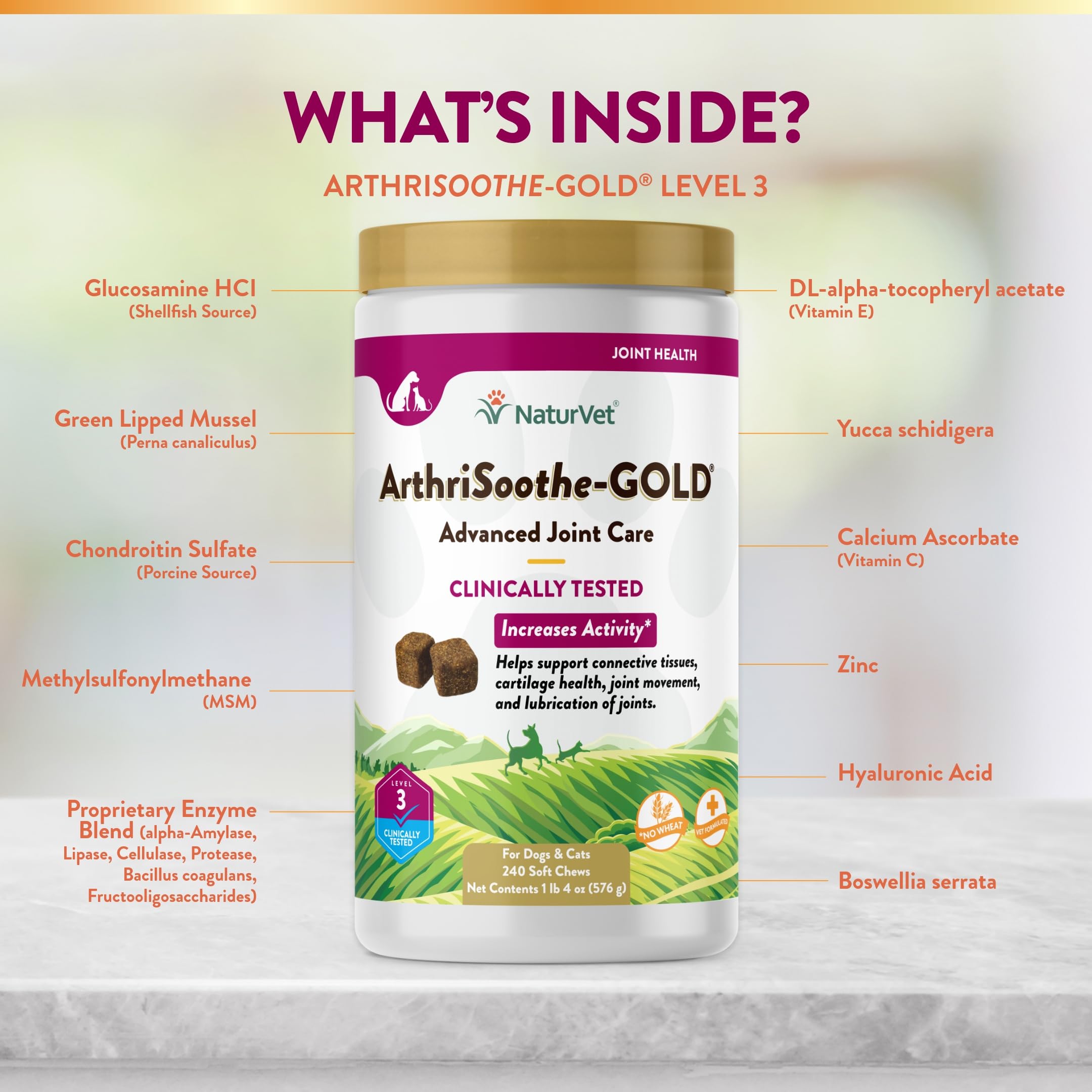 NaturVet ArthriSoothe-Gold Level 3 – Advanced Joint Support for Dogs