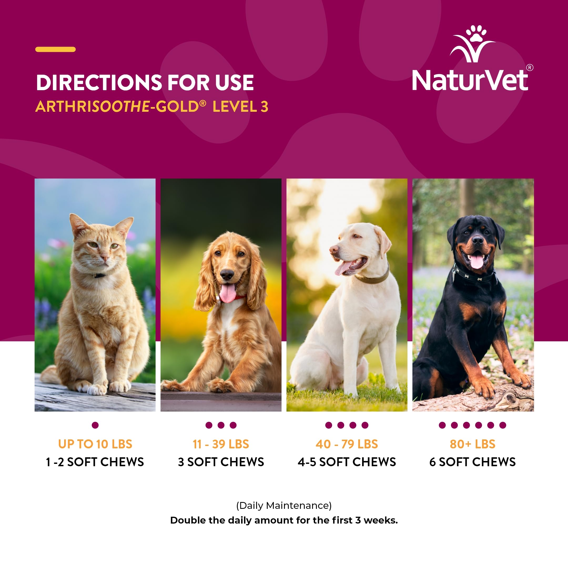 NaturVet ArthriSoothe-Gold Level 3 – Advanced Joint Support for Dogs