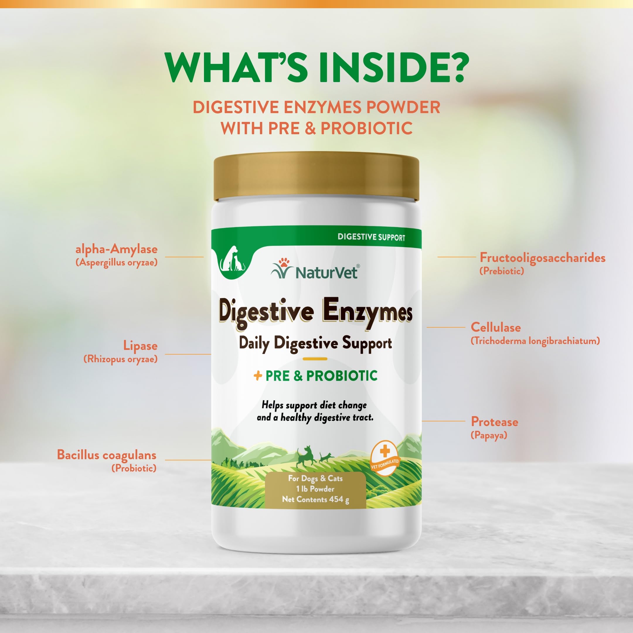 NaturVet Digestive Enzymes with Probiotics & Prebiotics for Dogs & Cats | 1 lb Powder