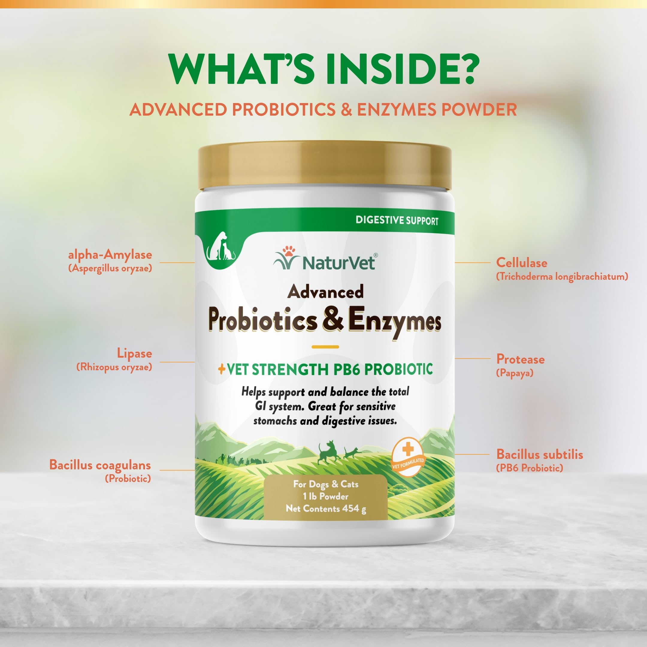 NaturVet – Advanced Probiotics & Enzymes with Vet Strength PB6 for Dogs & Cats (1 lb)