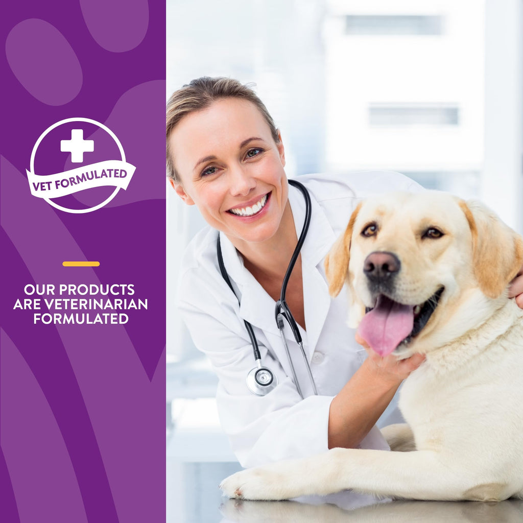 NaturVet VitaPet Senior Daily Vitamins for Dogs with Glucosamine – Joint Support & Full Spectrum Nutrition