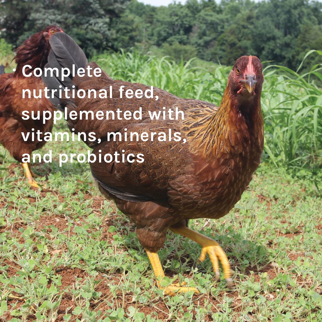 New Country Organics Classic Grind Layer Chicken Feed – 50lb Soy-Free, 17% Protein, Organic & Non-GMO