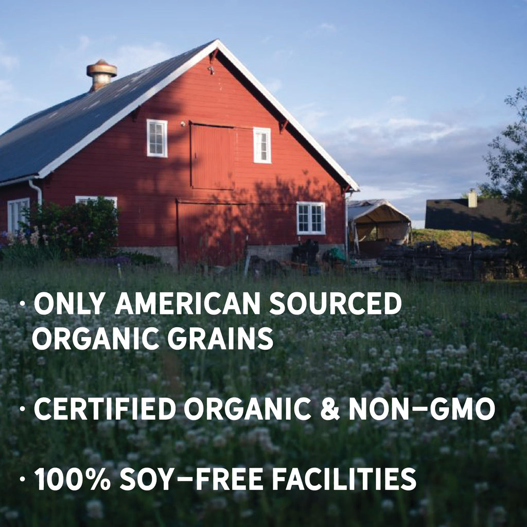 New Country Organics Classic Grind Layer Chicken Feed – 50lb Soy-Free, 17% Protein, Organic & Non-GMO