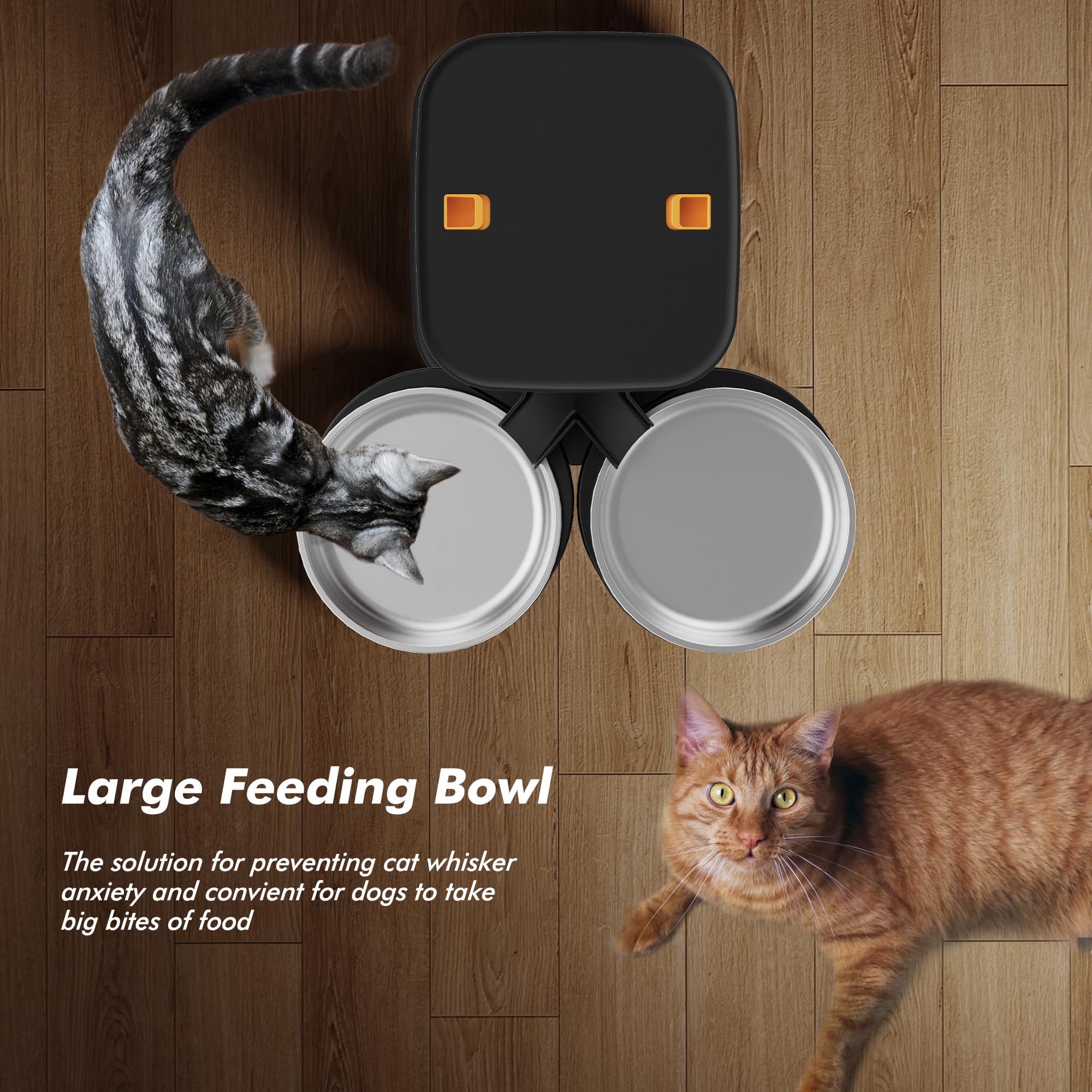 Nityers Automatic Cat Feeder for 2 Cats – 8L Large Capacity, LCD, Timed Feeding