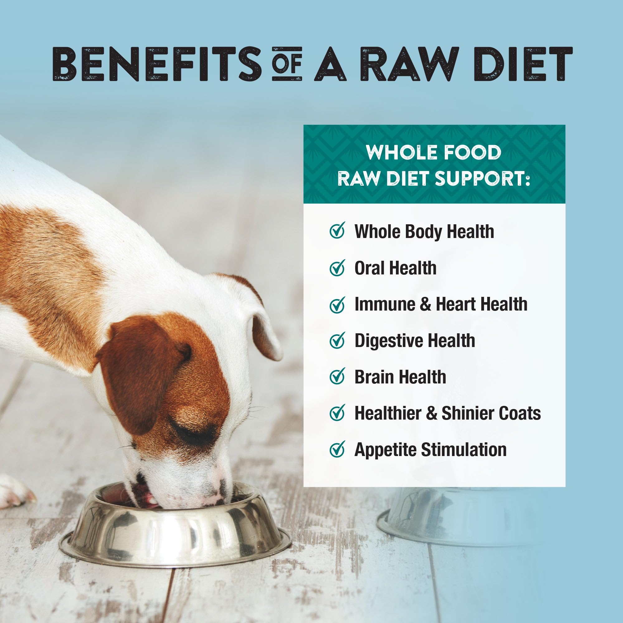 Northwest Naturals Freeze-Dried Chicken Dog Food – Bite-Sized Grain-Free Nuggets | USA Made