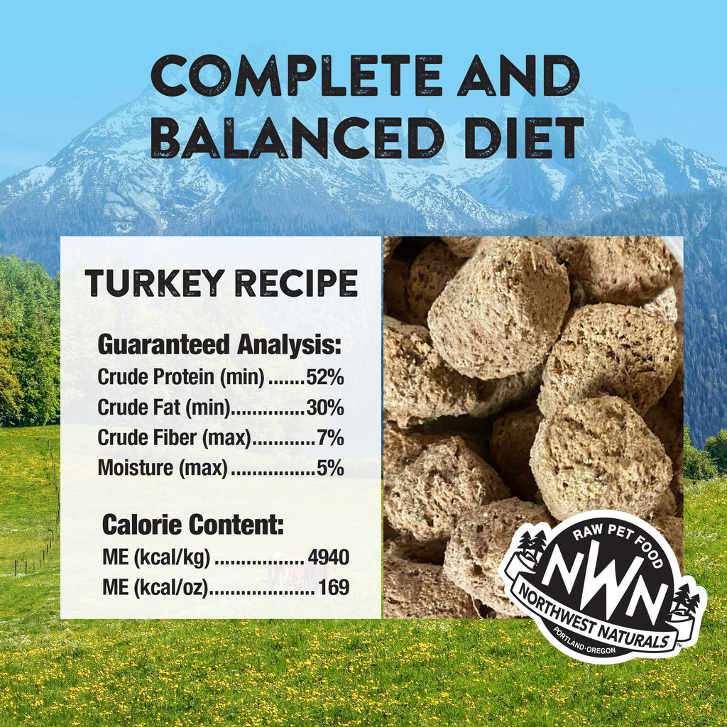 Northwest Naturals Freeze-Dried Turkey Dog Food – Bite-Sized Nuggets, Grain-Free, High-Protein, USA Made (25 oz)