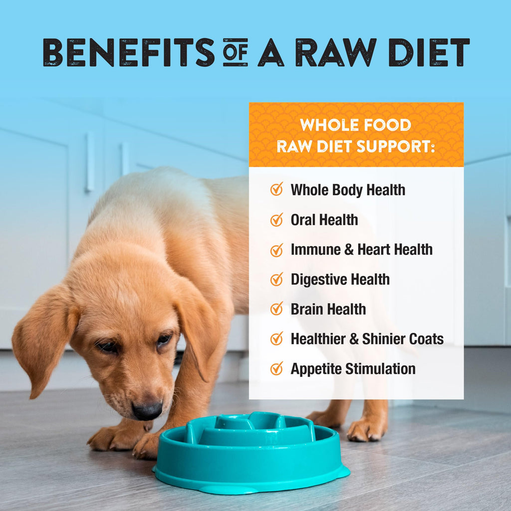 Northwest Naturals Freeze-Dried Turkey Dog Food – Bite-Sized Nuggets, Grain-Free, High-Protein, USA Made (25 oz)