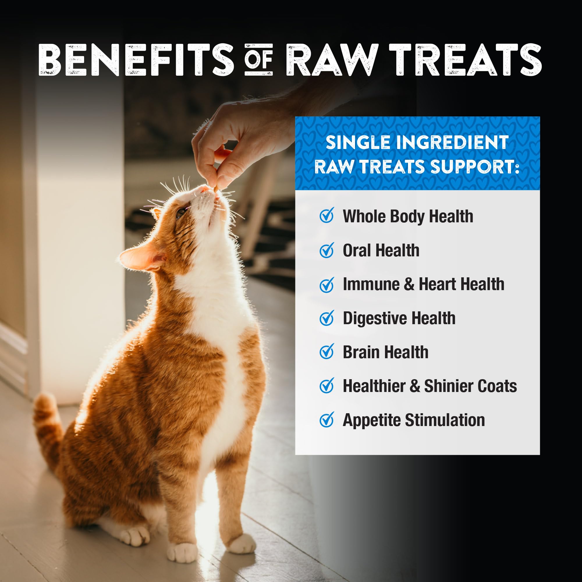 Northwest Naturals Raw Rewards Freeze-Dried Chicken Heart Treats for Dogs & Cats – 10 oz, 1 Ingredient, Human Grade, USA Made