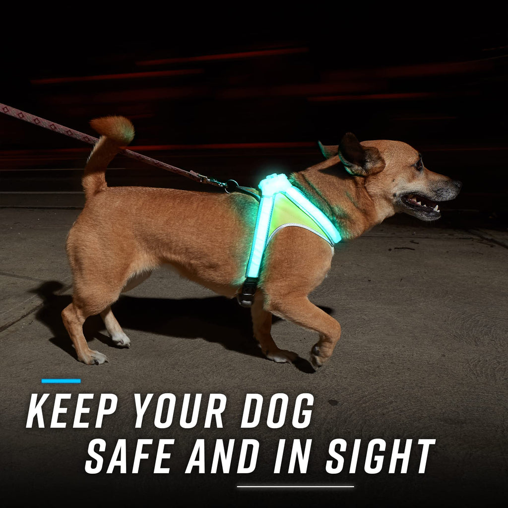 Noxgear LightHound: Illuminated Dog Harness with LED Fiber Optics – USB Rechargeable, Adjustable, Rainproof (X-Large)