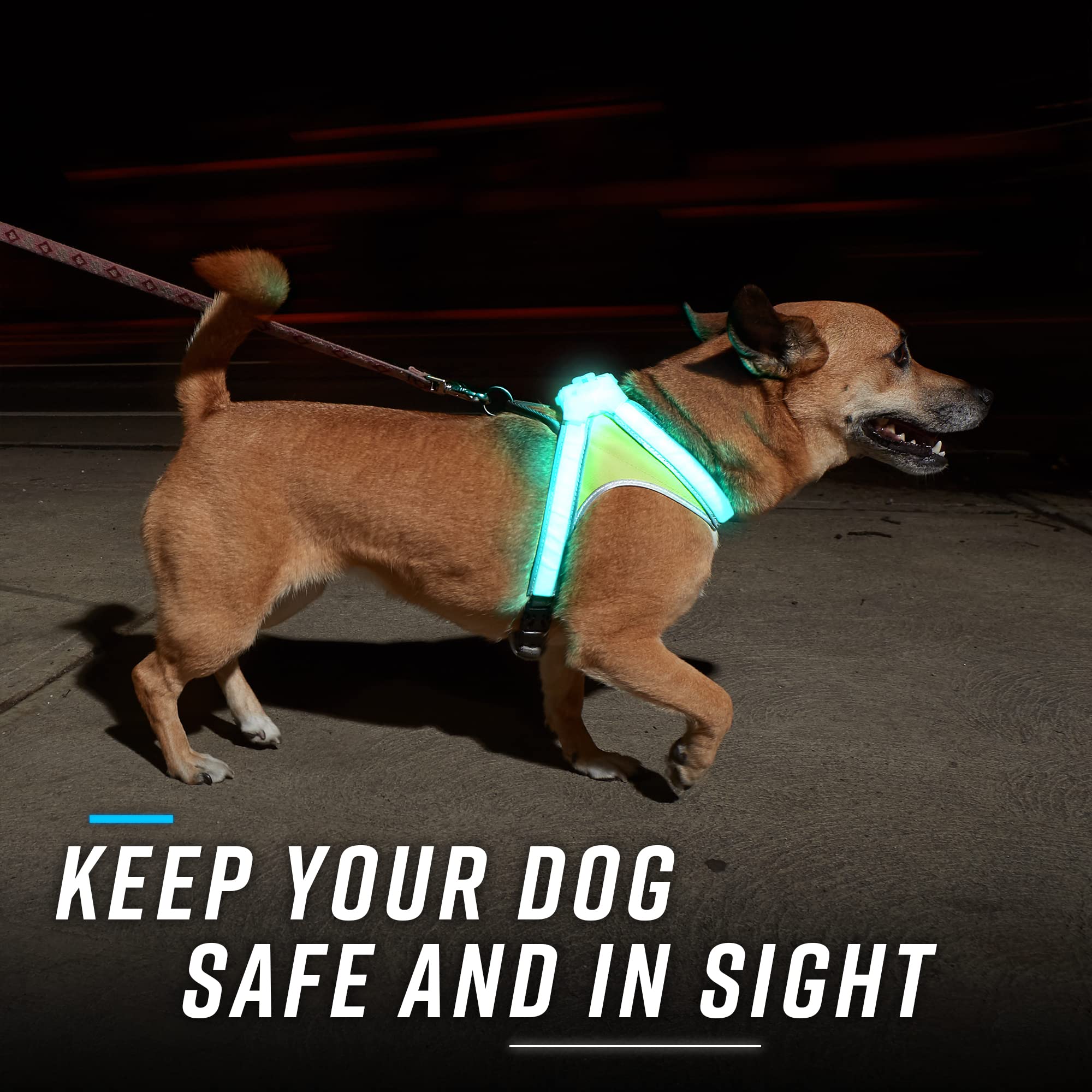 Noxgear LightHound: Illuminated Dog Harness with LED Fiber Optics – USB Rechargeable, Adjustable, Rainproof (X-Large)