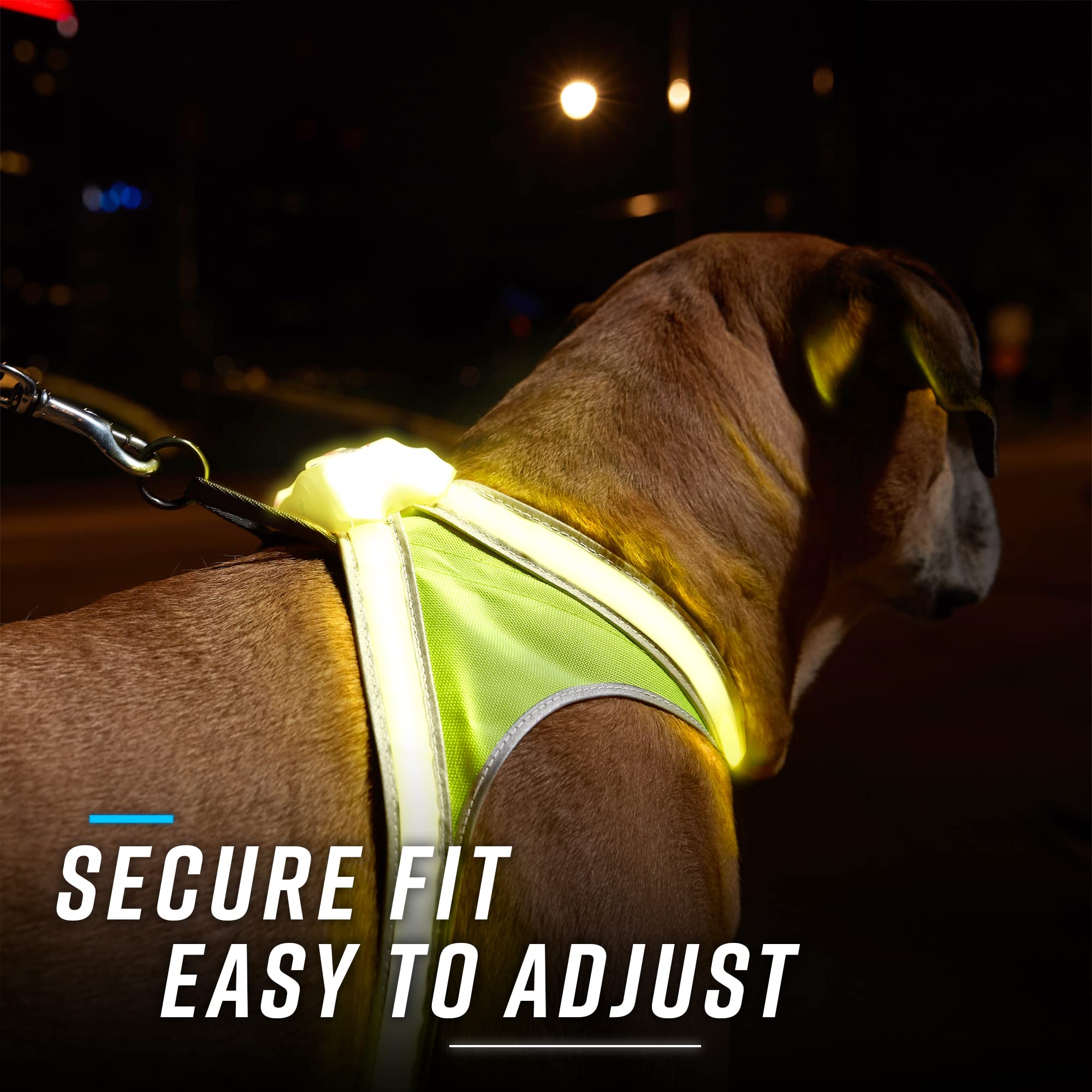 Noxgear LightHound Large Dog Harness & Leash – LED, Reflective, USB Rechargeable