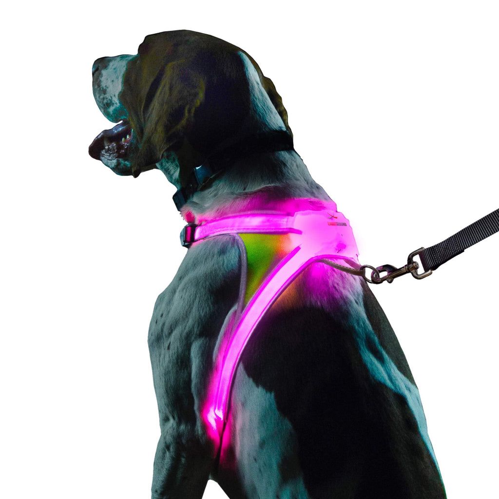 Noxgear LightHound: Illuminated Dog Harness with LED Fiber Optics – USB Rechargeable, Adjustable, Rainproof (X-Large)