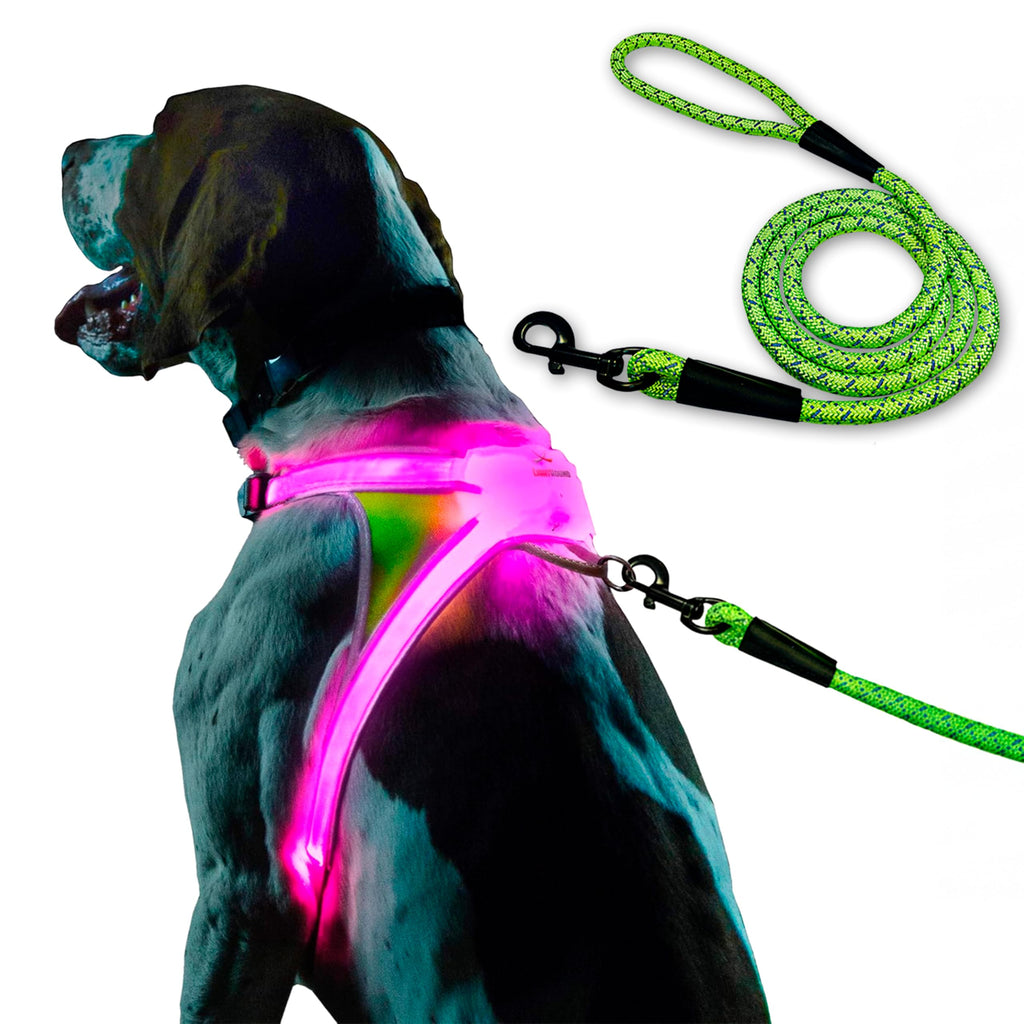 Noxgear LightHound Large Dog Harness & Leash – LED, Reflective, USB Rechargeable