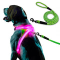 Noxgear LightHound Large Dog Harness & Leash – LED, Reflective, USB Rechargeable