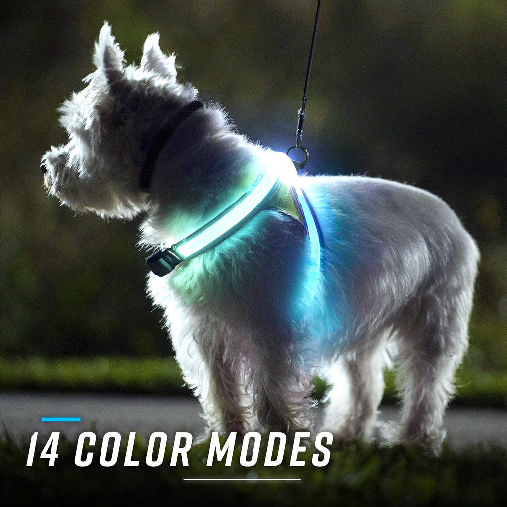 Noxgear LightHound Large Dog Harness & Leash – LED, Reflective, USB Rechargeable