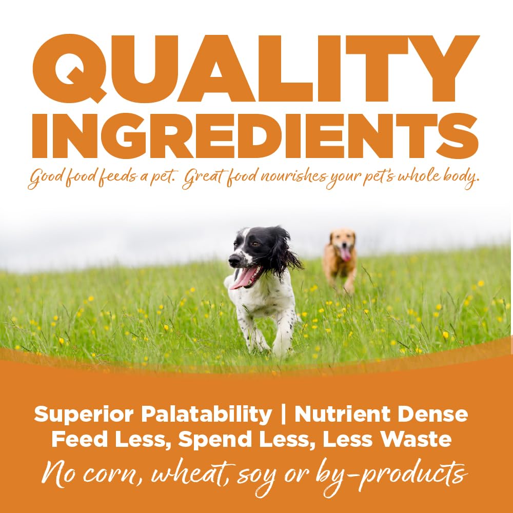 NutriSource Lamb & Rice Wet Dog Food — Premium Canned, 12.3 oz (Pack of 12)
