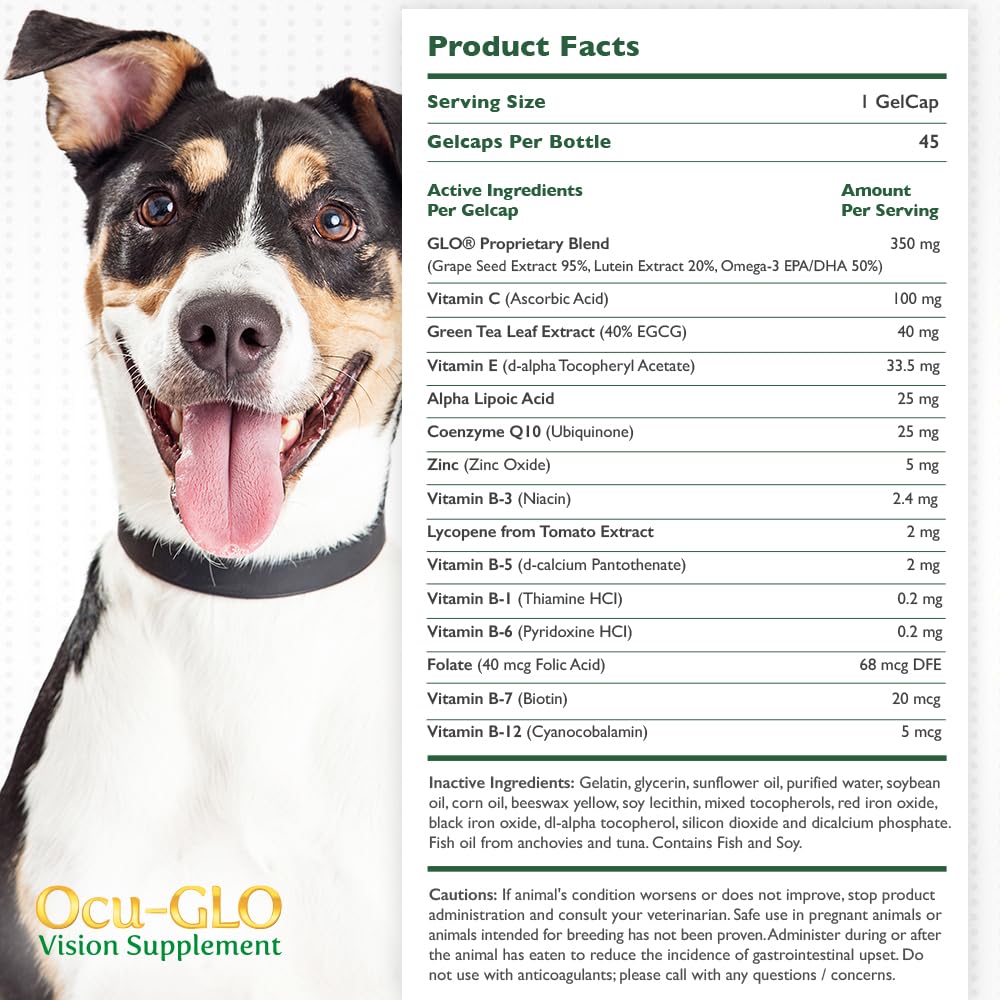 Ocu-GLO Vision Supplement for Medium to Large Dogs (45ct) | Eye Health Support