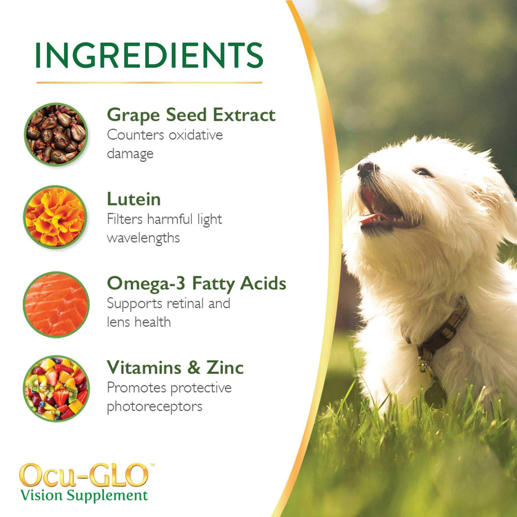Ocu-GLO Vision Supplement for Medium to Large Dogs (45ct) | Eye Health Support