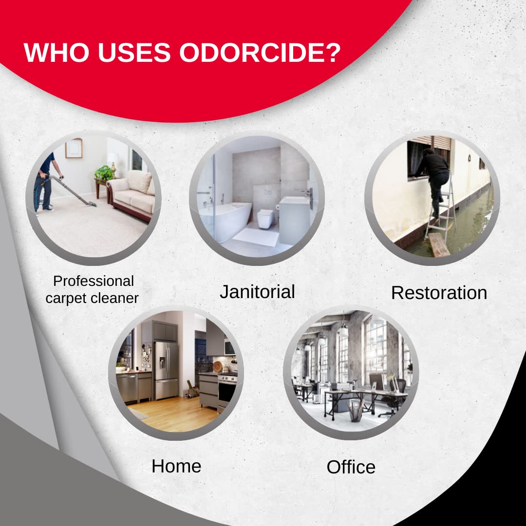 Odorcide 210 Original Scent – Half Gallon Size | Powerful Odor Eliminator for Home & Car