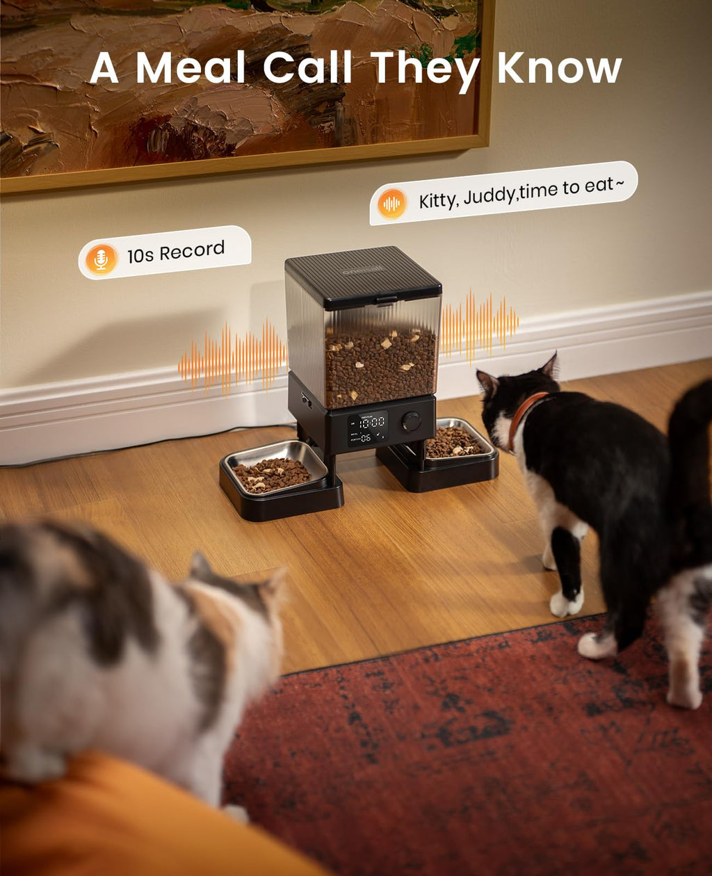 oneisall Automatic Cat Feeder for 2 Cats – 5L, 20 Cups, Timed Dispenser