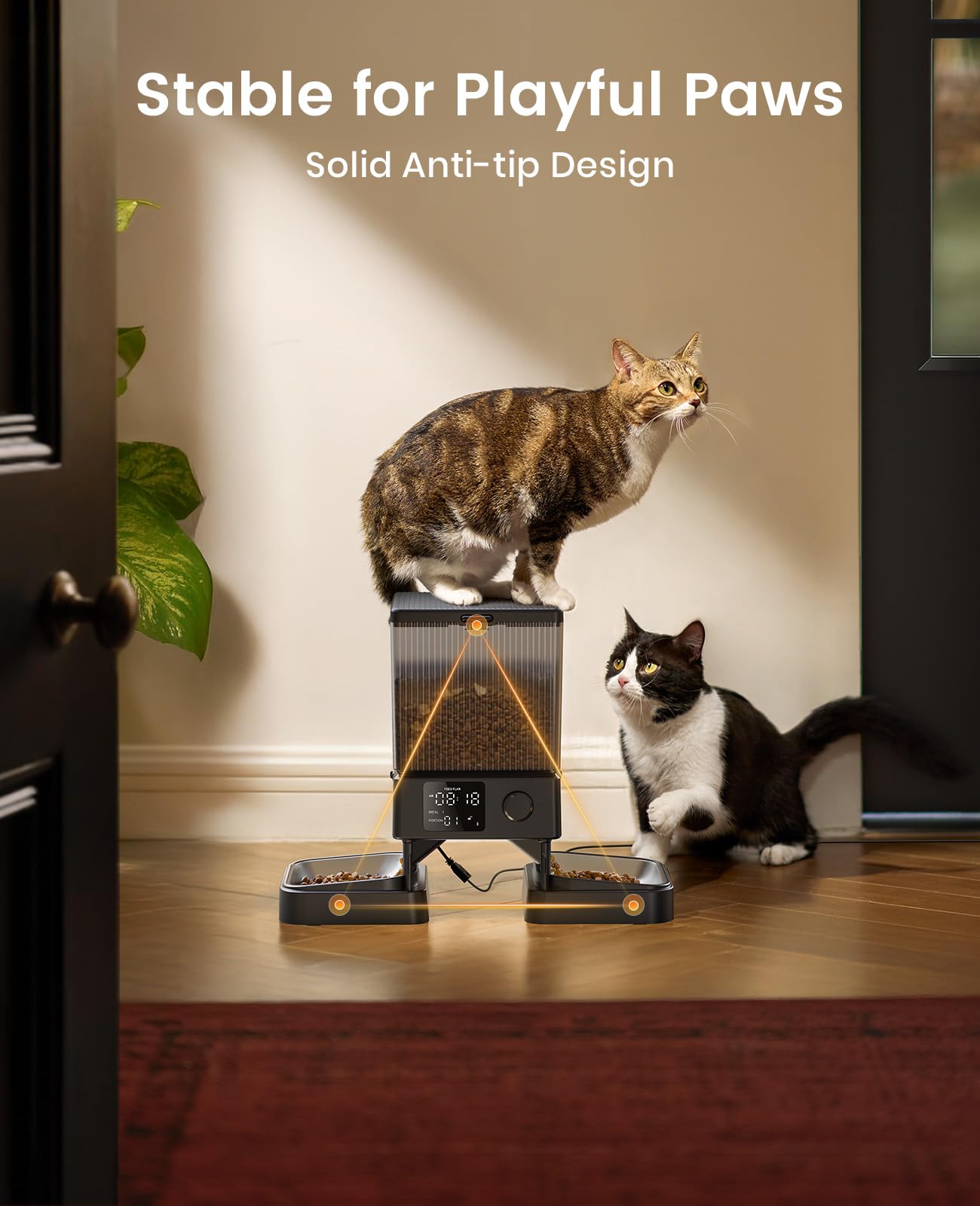 oneisall Automatic Cat Feeder for 2 Cats – 5L, 20 Cups, Timed Dispenser