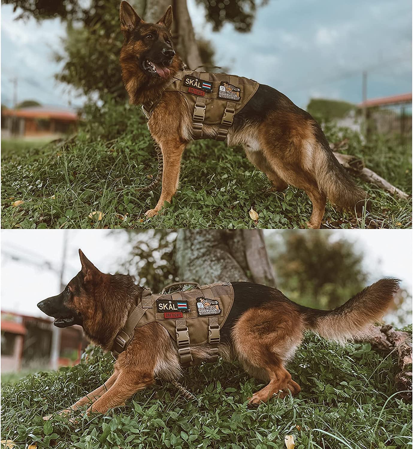 OneTigris No Pull Tactical Dog Harness for Medium to Large Dogs | Breathable Mesh, MOLLE Panels, Handle – XL Brown