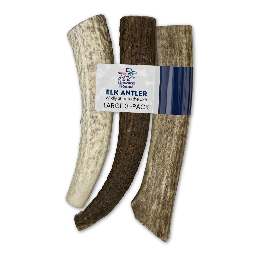 Onward Hound Elk Antlers for Dogs - 7+ Inch Large 3-Pack, No Odor, USA-Shed