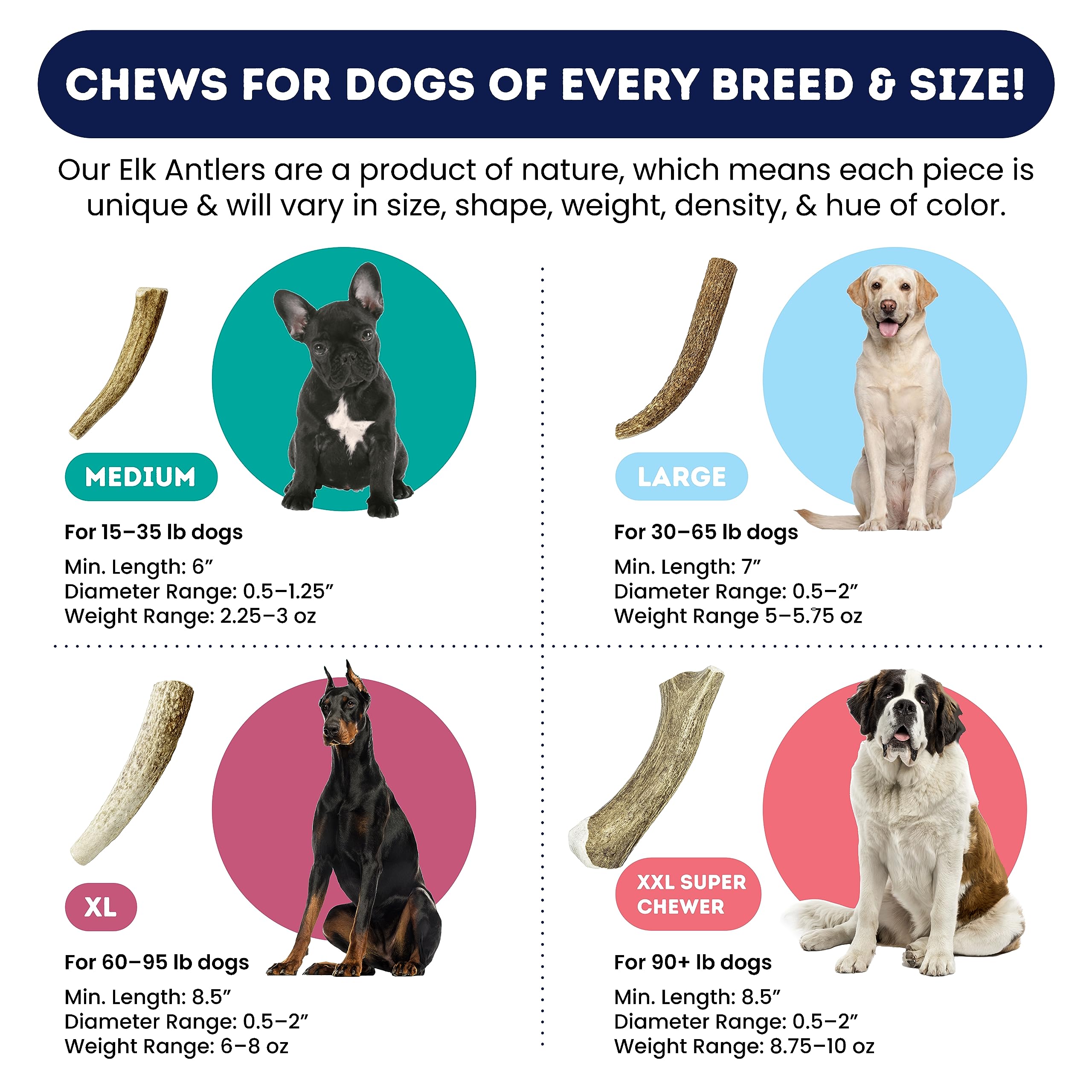Onward Hound Elk Antlers for Dogs - 7+ Inch Large 3-Pack, No Odor, USA-Shed