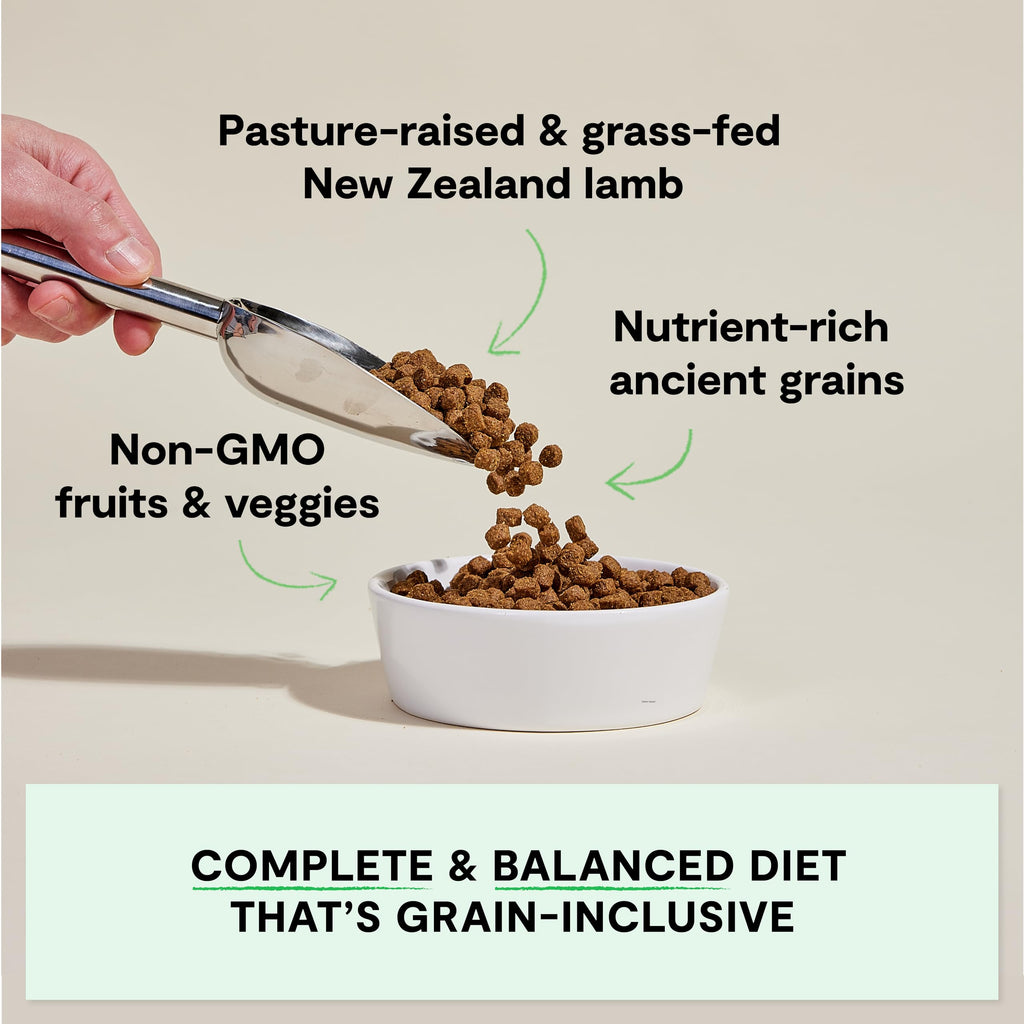 Open Farm Ancient Grains Dry Dog Food — Pasture-Raised Lamb, 90% Animal Protein, 11lb
