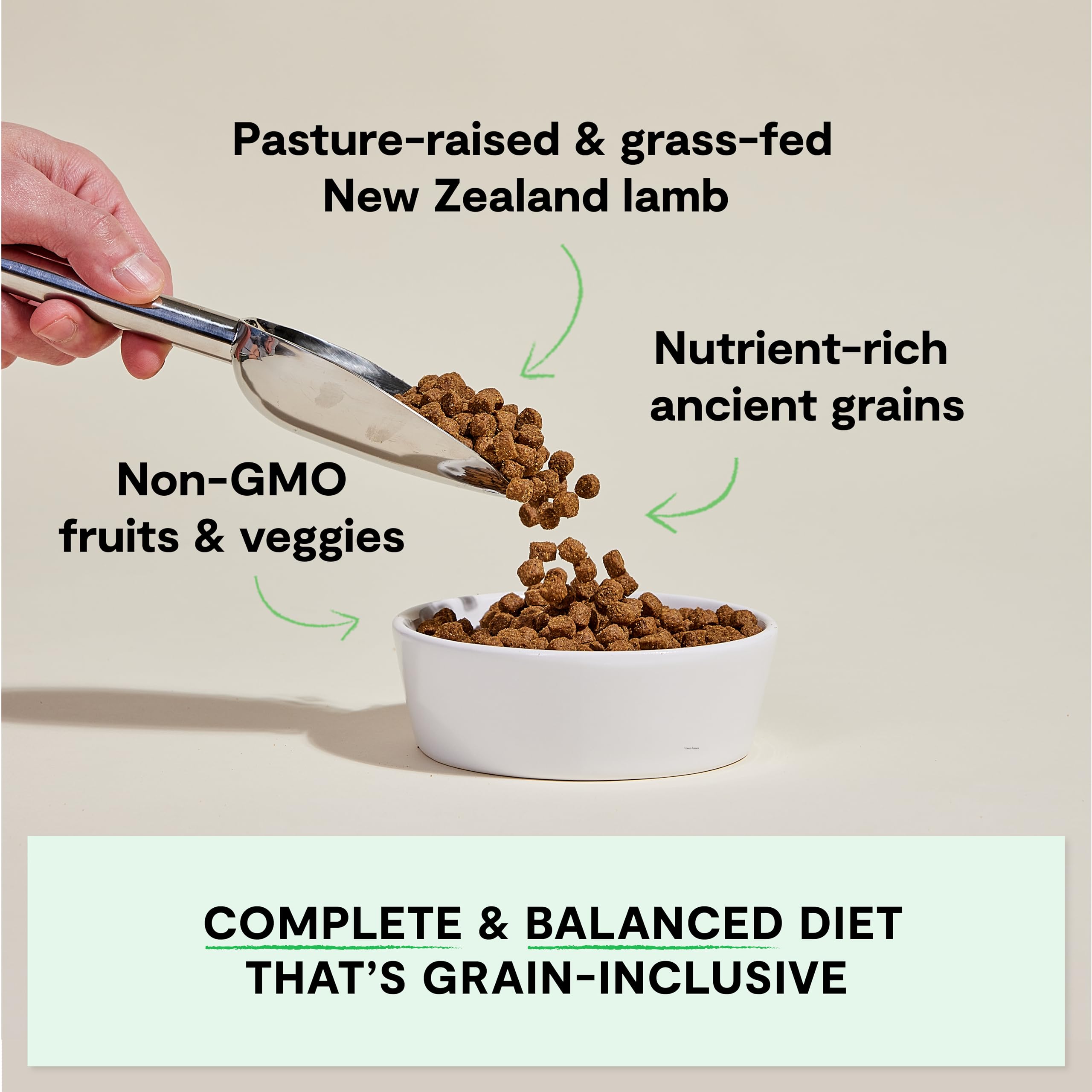 Open Farm Ancient Grains Dry Dog Food — Pasture-Raised Lamb, 90% Animal Protein, 11lb