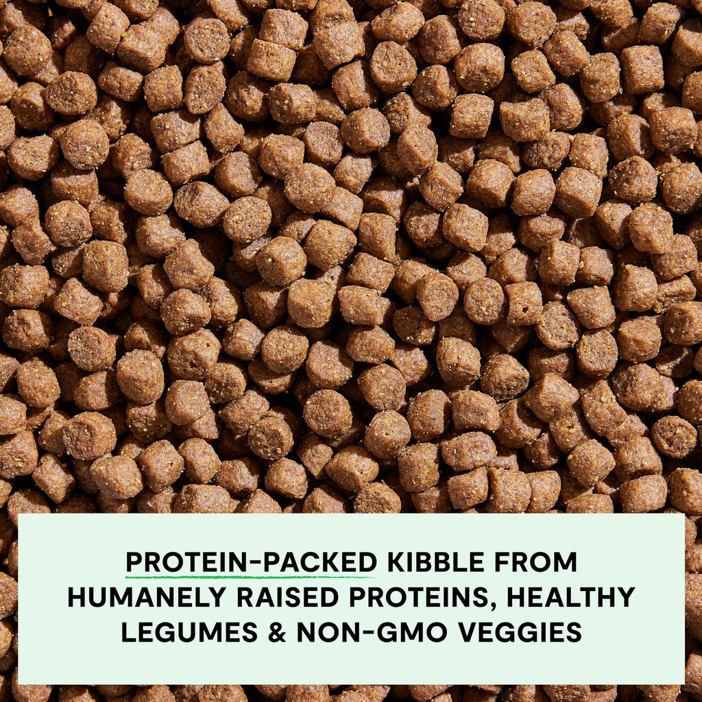 Open Farm Grain-Free Grass-Fed Beef Dry Dog Food – 11lb Bag | Complete & Balanced