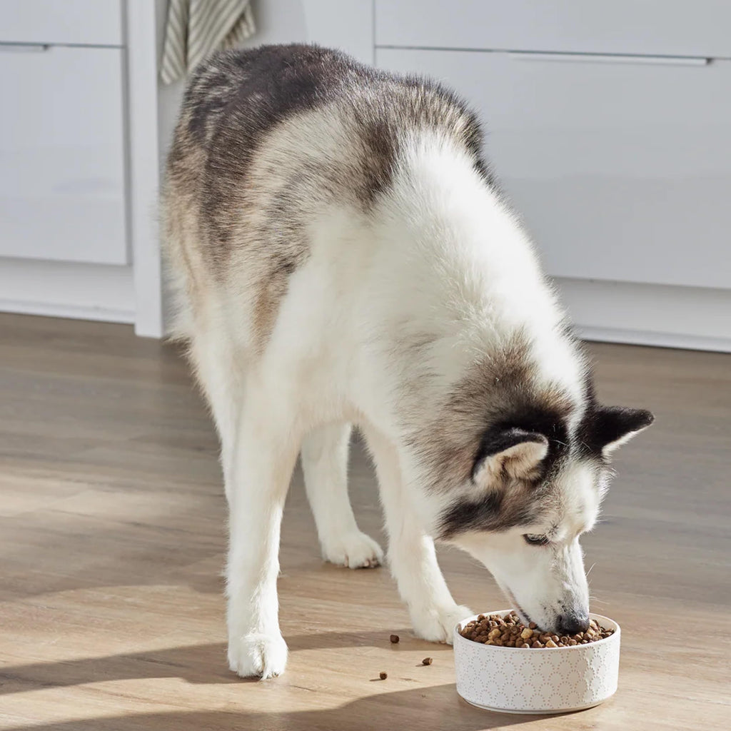 Open Farm RawMix Dry Dog Food with Ancient Grains – Open Prairie Recipe (Chicken & Turkey), 20lb