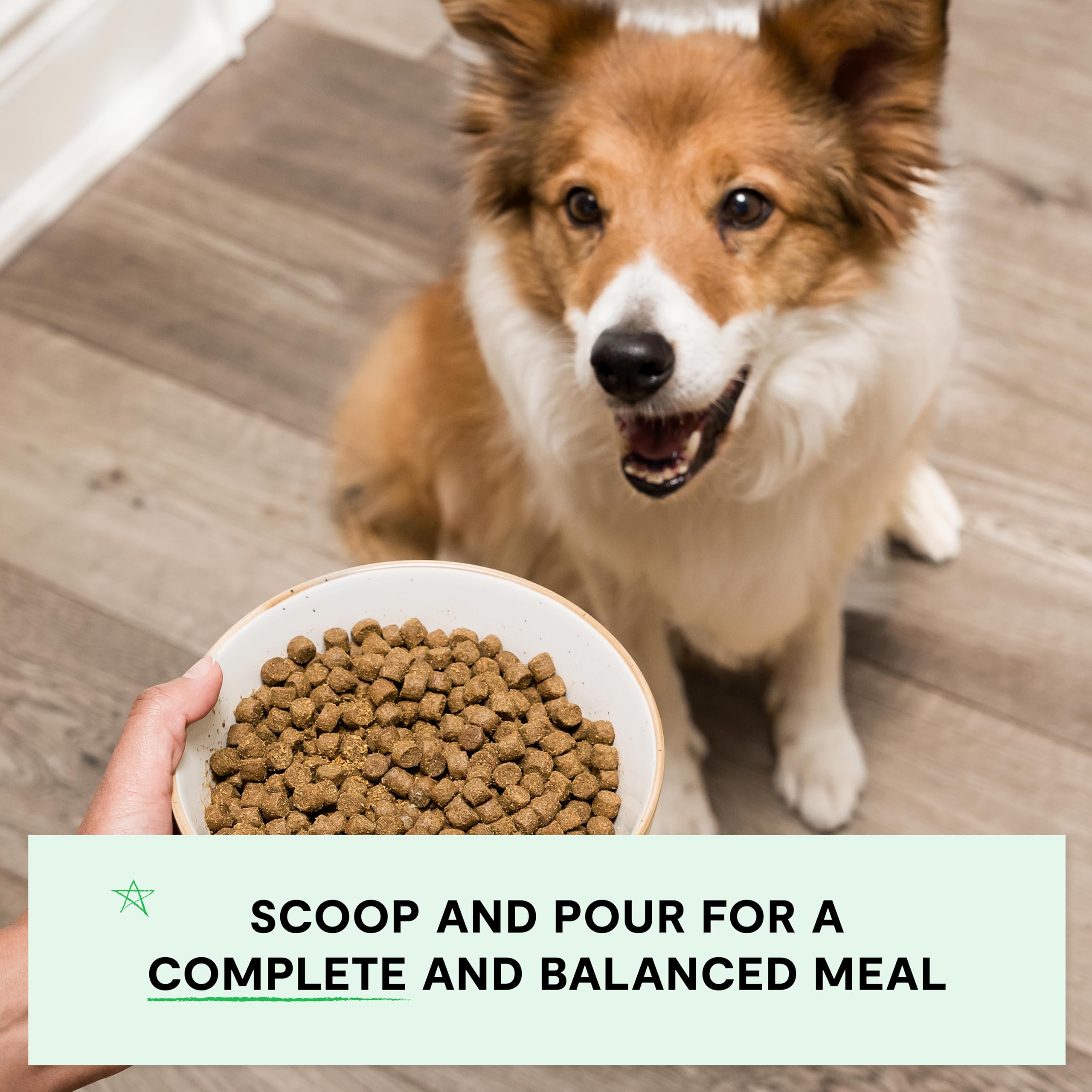 Open Farm Grain-Free Grass-Fed Beef Dry Dog Food – 11lb Bag | Complete & Balanced