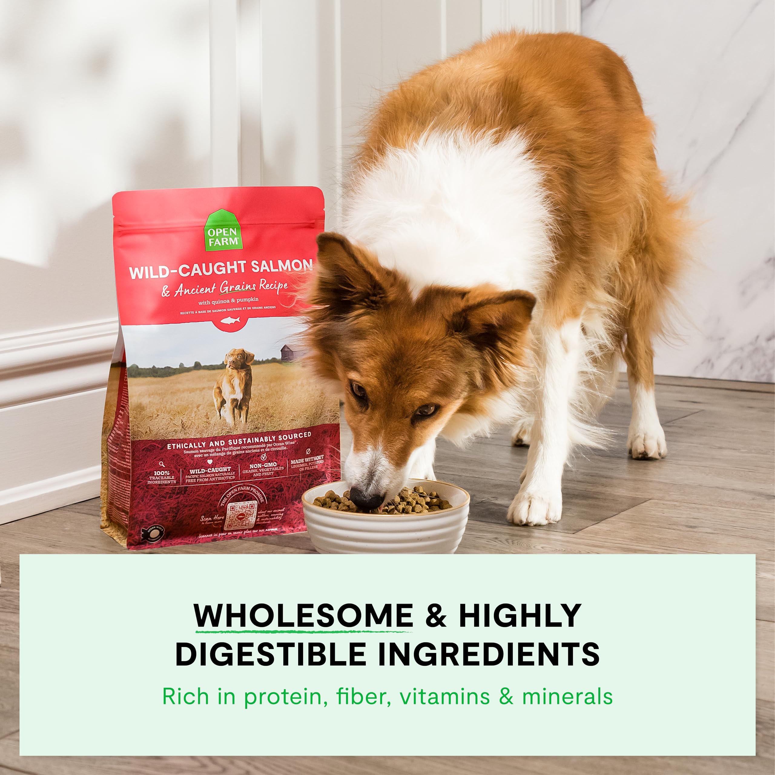 Open Farm Ancient Grains Dry Dog Food — Pasture-Raised Lamb, 90% Animal Protein, 11lb