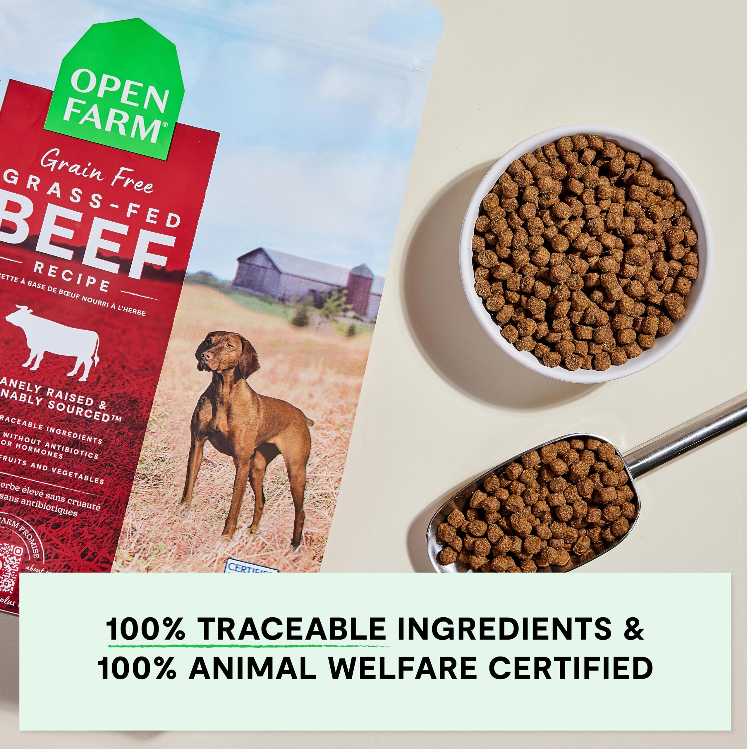 Open Farm Grain-Free Grass-Fed Beef Dry Dog Food – 11lb Bag | Complete & Balanced