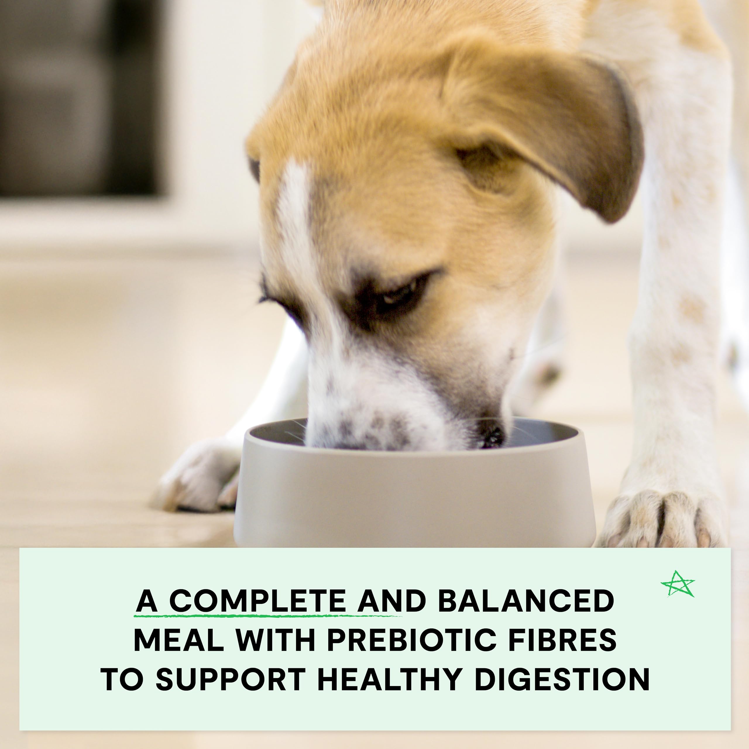 Open Farm Grain-Free Puppy Food — Salmon & Chicken Kibble, Non-GMO Veggies, 22lb