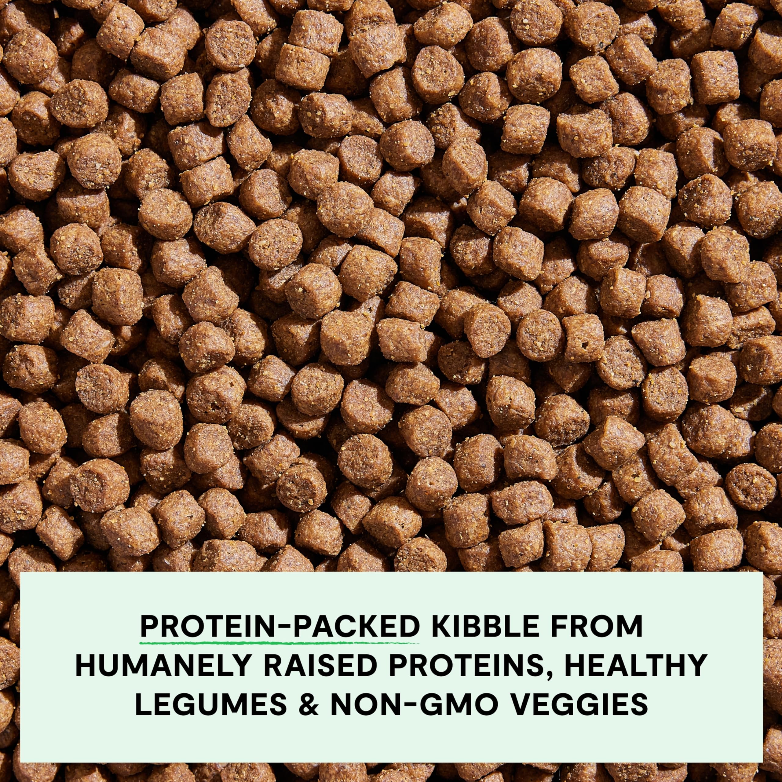 Open Farm Grain-Free Puppy Food — Salmon & Chicken Kibble, Non-GMO Veggies, 22lb