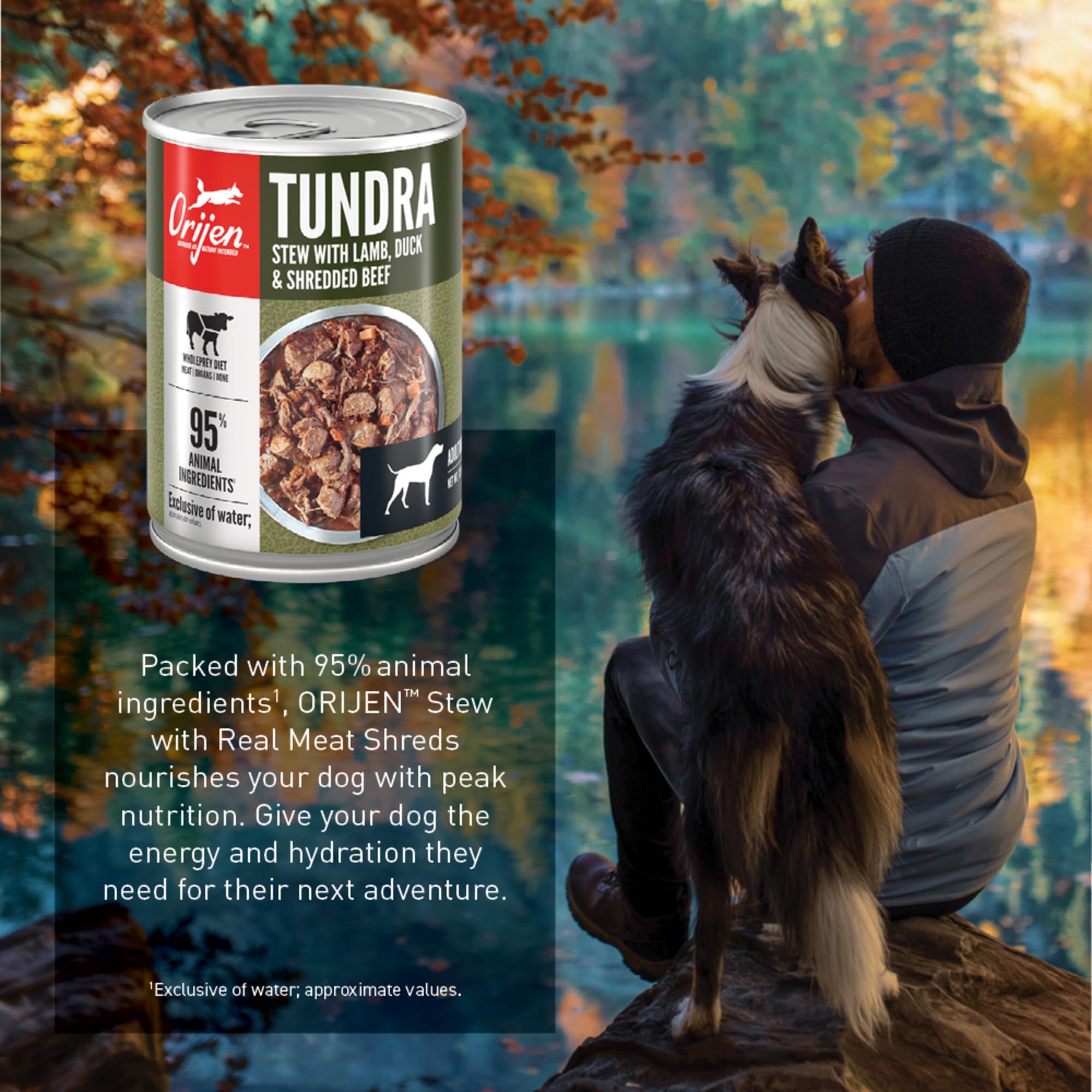 ORIJEN Real Meat Shreds Tundra Stew – Premium Wet Dog Food, Grain-Free