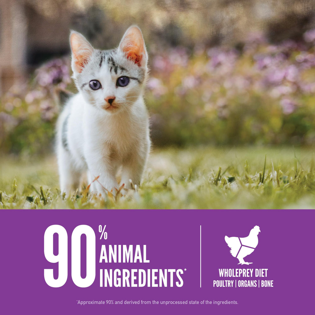 ORIJEN Grain Free High Protein Kitten Recipe – 7lb Bag | Premium Dry Cat Food
