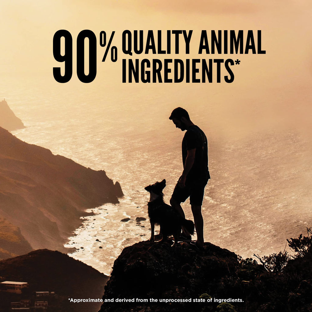 ORIJEN Regional Red Freeze Dried Medallions – High-Protein, Grain-Free Dog Food & Topper (16 oz)
