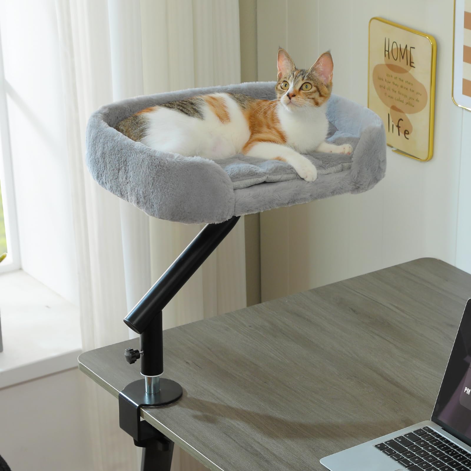 PAWZ Road Cat Desk Bed — 360° Rotating, Adjustable Desk Hammock for Indoor Cats